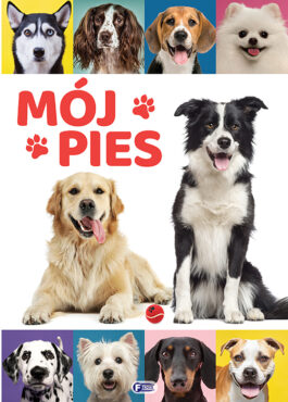 MÓJ PIES